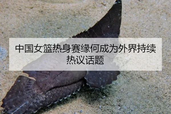 中国女篮热身赛缘何成为外界持续热议话题